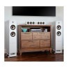 POLK AUDIO T15