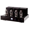 TRIODE TRZ-300W