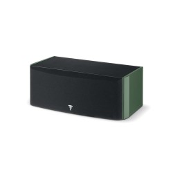 FOCAL ARIA EVO X CENTER VERDE MUSCHIO