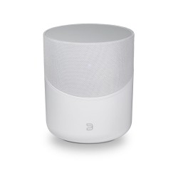 BLUESOUND PULSE M WHITE