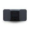 BLUESOUND PULSE MINI 2i BLACK