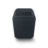 BLUESOUND PULSE FLEX 2i BLACK