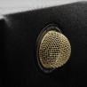 Gold Note Diana II Coppia Diffusori da Scaffale | Stereodrom Hi-Fi