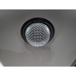 copy of GOLD NOTE DIANA I BLACK