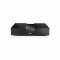 NAIM NAP 350 COPPIA DI FINALI