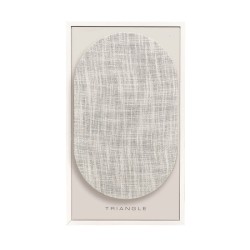 TRIANGLE BOREA BR03 BT CONNECT (DA ESPOSIZIONE)