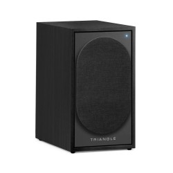 `Triangle Borea BR02 Connect: Diffusori Attivi Bluetooth