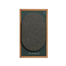 `Triangle Borea BR02 Connect: Diffusori Attivi Bluetooth