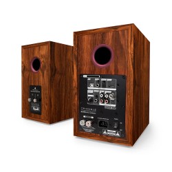 `Triangle Borea BR02 Connect: Diffusori Attivi Bluetooth