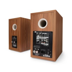 `Triangle Borea BR02 Connect: Diffusori Attivi Bluetooth