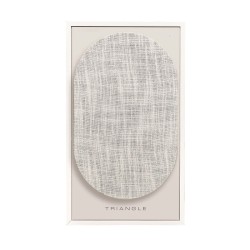 `Triangle Borea BR03 Connect: Diffusori Attivi Bluetooth