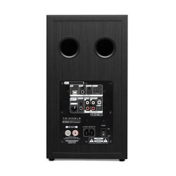 `Triangle Borea BR03 Connect: Diffusori Attivi Bluetooth