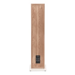 `Triangle Borea BR10: Diffusori da Pavimento Top di Gamma