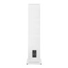 `Triangle Borea BR10: Diffusori da Pavimento Top di Gamma