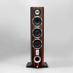 Triangle Magellan Cello: Diffusori Hi-End da Pavimento