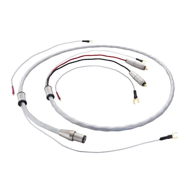 DIN to 2x RCA