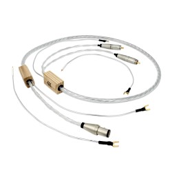 DIN to 2x RCA