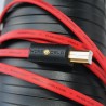 Wireworld Starlight 8 USB 2.0 (Da Tipo A a Tipo B) - Cavo USB 2.0