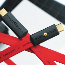 Wireworld Starlight 8 USB 3.1 C-C - Cavo Audio Tipo C | Stereodrom Hifi
