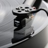Rega Carbon Pro Stylus Puntina Ellittica | Stereodrom Hi-Fi