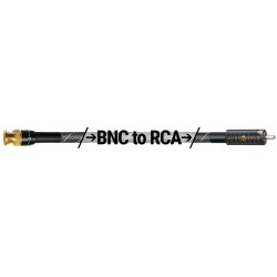 Cavo Coassiale Wireworld Platinum Starlight 10 | Stereodrom HiFi