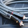 Cavo RCA Wireworld Equinox 10 Interconnect | Stereodrom HiFi