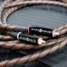 Cavo RCA Wireworld Eclipse 10 Interconnect | Stereodrom HiFi