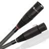 Wireworld Equinox 10 Cavo XLR Bilanciato | Stereodrom Hi-Fi