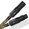 Cavo XLR Bilanciato Wireworld Gold Eclipse 10 | Stereodrom Hi-Fi