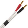 Wireworld Horizon Cavo Diffusori Banana | Stereodrom Hi-Fi