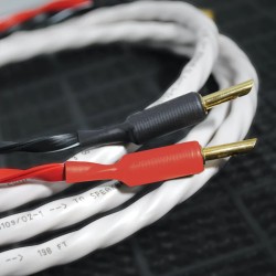 Wireworld Luna 10 Cavo Diffusori Banana | Stereodrom Hi-Fi