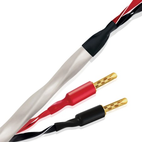 Wireworld Solstice 10 Cavo Diffusori Banana | Stereodrom Hi-Fi