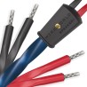 Wireworld Oasis 10 Biwire Cavo Diffusori Banana | Stereodrom Hi-Fi