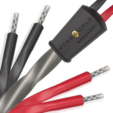 Wireworld Equinox 10 Biwire Cavo Diffusori Banana | Stereodrom Hi-Fi