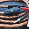 Wireworld Mini Eclipse 10 Biwire Cavo Diffusori Banana | Stereodrom Hi-Fi