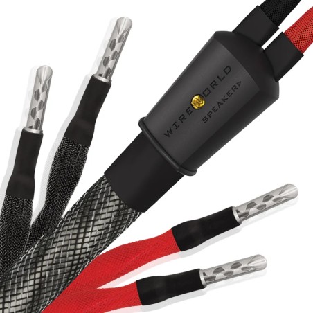 Wireworld Silver Eclipse 10 Biwire Cavo Diffusori Banana | Stereodrom Hi-Fi