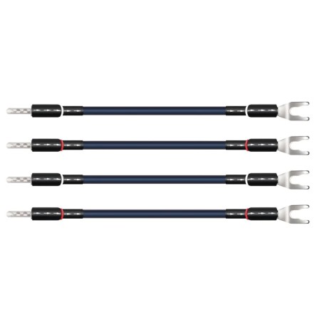 Wireworld Oasis 10 Biwire Jumpers Ponticelli Diffusori | Stereodrom Hi-Fi