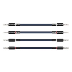 Wireworld Oasis 10 Biwire Jumpers Ponticelli Diffusori | Stereodrom Hi-Fi