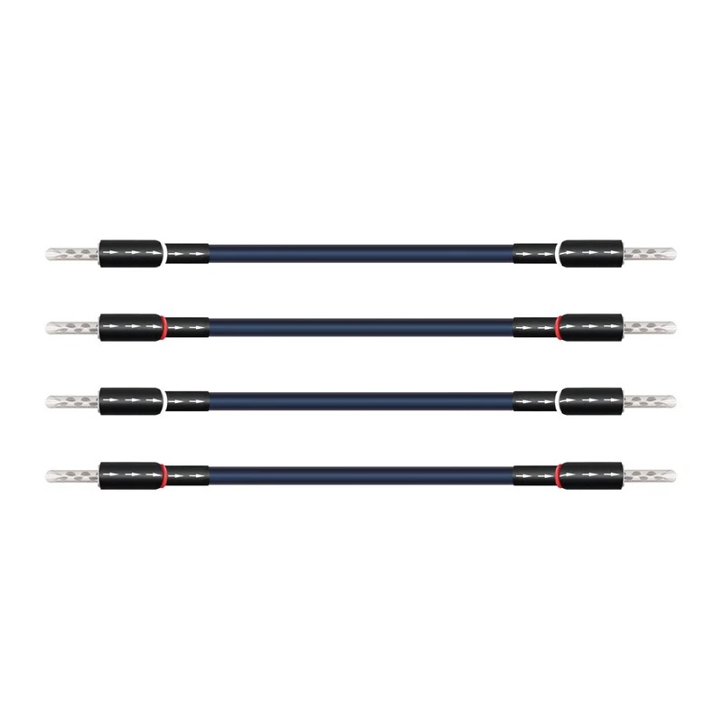 Wireworld Oasis 10 Biwire Jumpers Ponticelli Diffusori | Stereodrom Hi-Fi