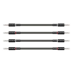 Wireworld Equinox 10 Biwire Jumpers Ponticelli Diffusori | Stereodrom Hi-Fi