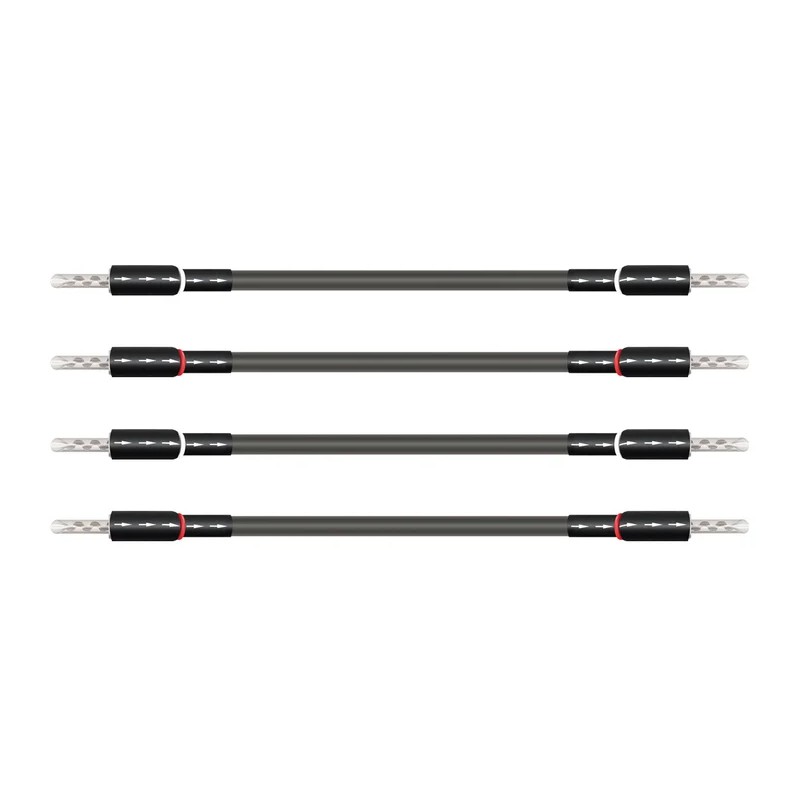 Wireworld Equinox 10 Biwire Jumpers Ponticelli Diffusori | Stereodrom Hi-Fi