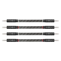 Wireworld Silver Eclipse 10 Biwire Jumpers Ponticelli | Stereodrom Hi-Fi