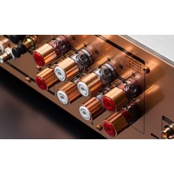 MARANTZ PM10 Gold